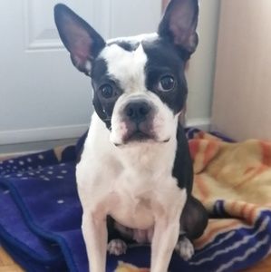 Meet your Posher, Joanie